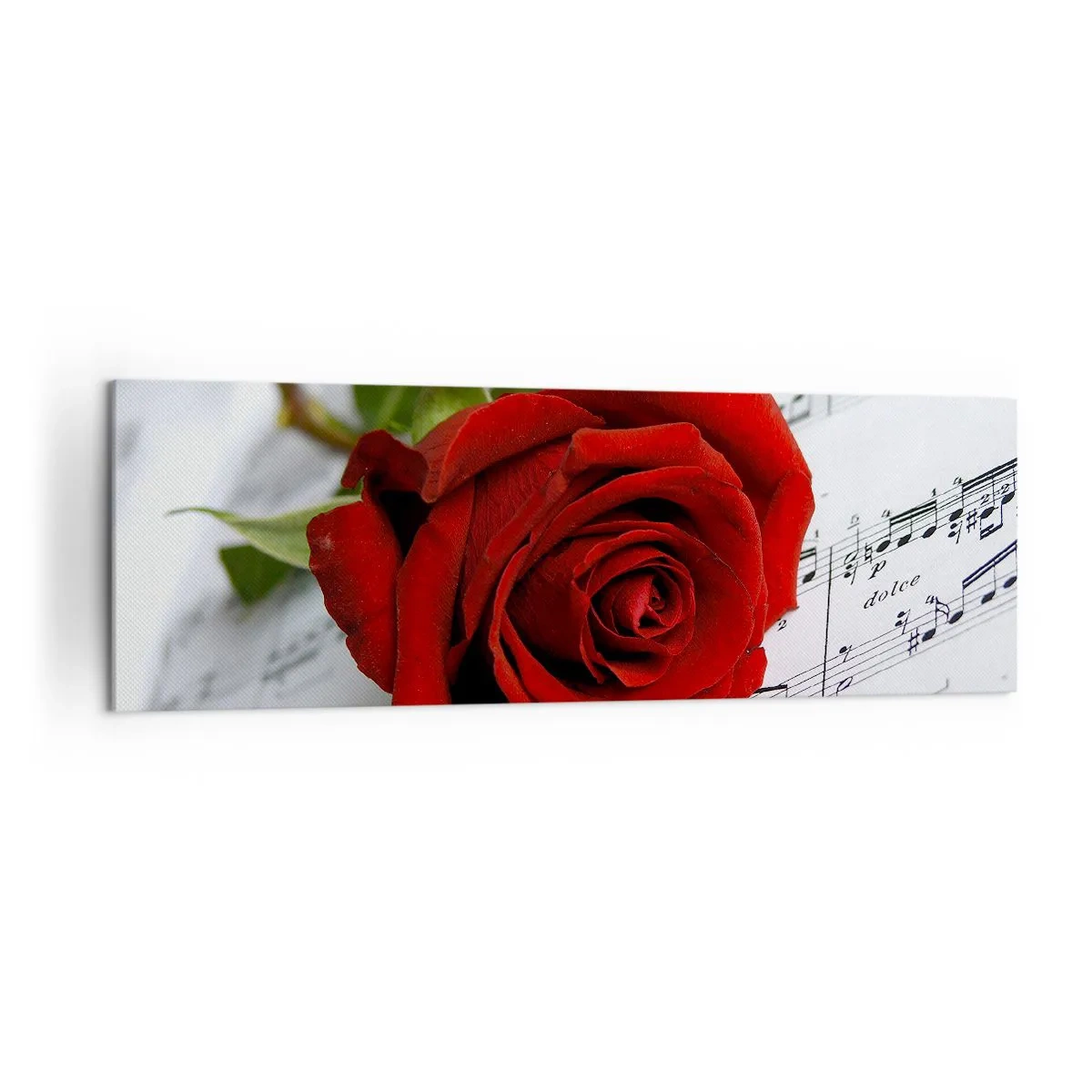 Quadro su tela - Stampe su Tela - Una rosa rossa su uno sfondo di note musicali su carta bianca. - 160x50cm - La musica dei sentimenti in scarlatto - Decorazione murale moderna per soggiorno e camera da letto ARTTOR