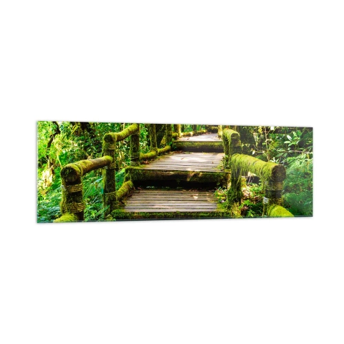 Quadro su vetro - Un ponte di legno ricoperto di muschio in una foresta pluviale tropicale - 160x50cm - Un corridoio nel verde - Decorazione murale moderna per soggiorno e camera da letto ARTTOR