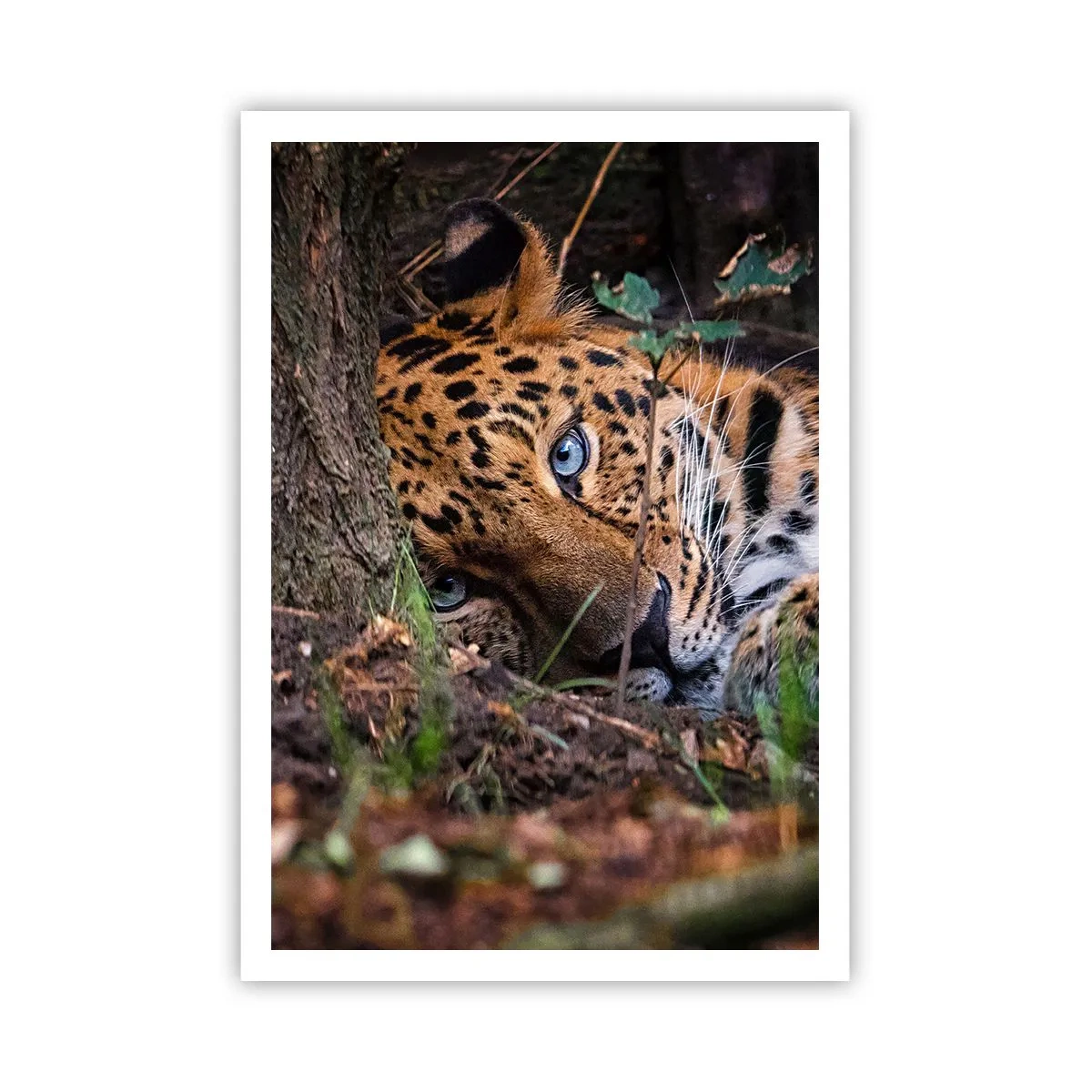 Poster - Fidati di me - 70x100 cm