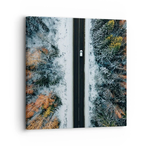 Quadro su tela - Stampe su Tela - Tagliando la foresta invernale - 30x30 cm