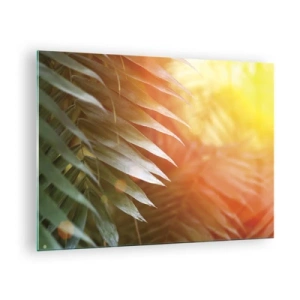 Quadro su vetro - Foglie di palma al chiarore del sole mattutino in un ambiente tropicale - 70x50cm - L'alba nella giungla - Decorazione murale moderna per soggiorno e camera da letto ARTTOR