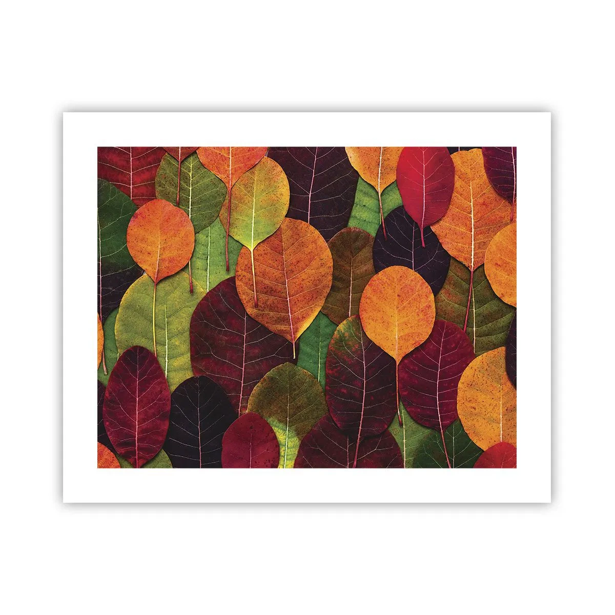 Poster - Mosaico autunnale - 50x40 cm