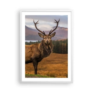 Poster in cornice bianca - Maestà della natura - 50x70 cm