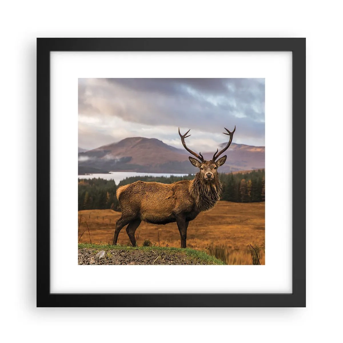 Poster in cornice nera - Maestà della natura - 30x30 cm
