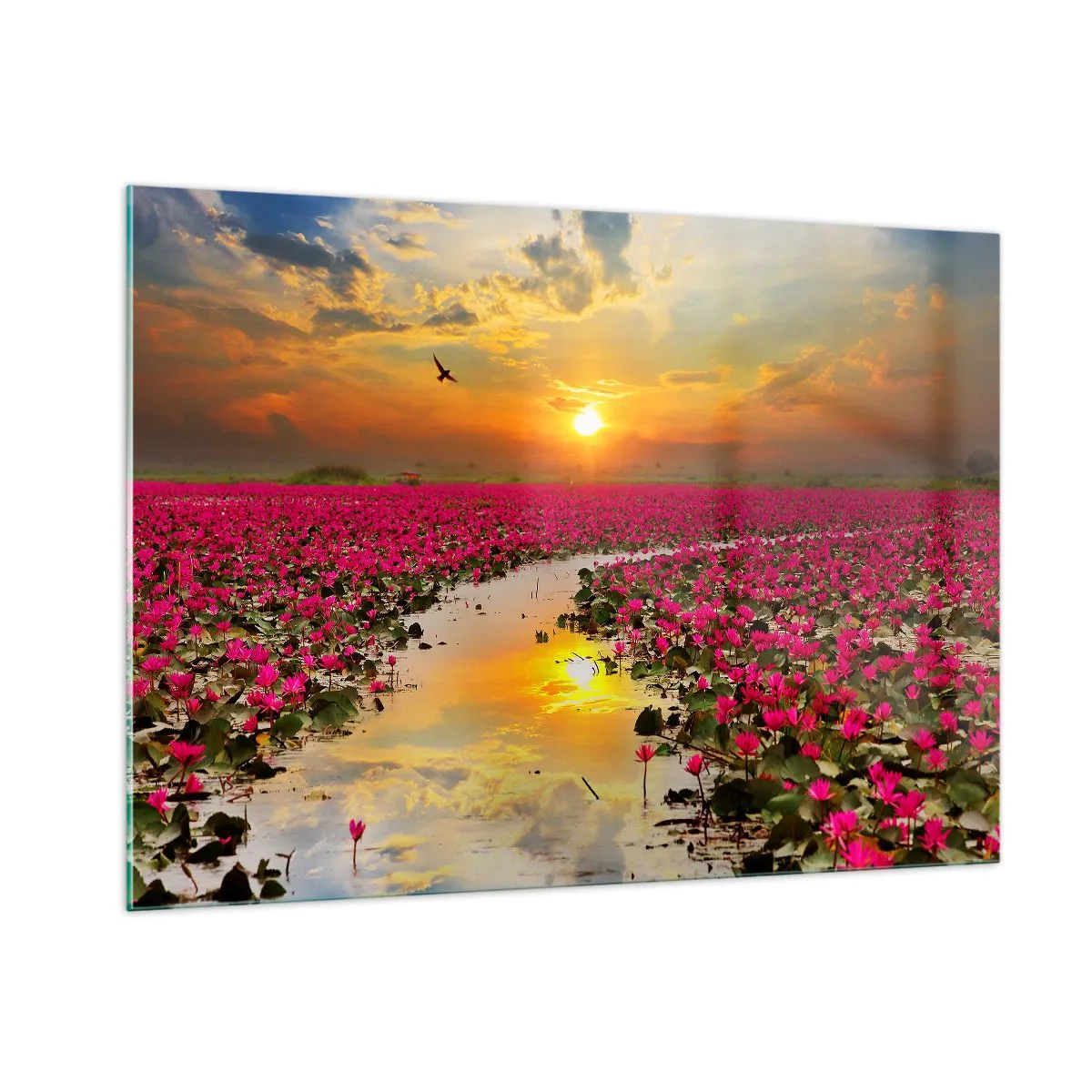 Quadro su vetro - Ninfee rosa su un lago al tramonto - 100x70cm - La vita segreta del lago - Decorazione murale moderna per soggiorno e camera da letto ARTTOR