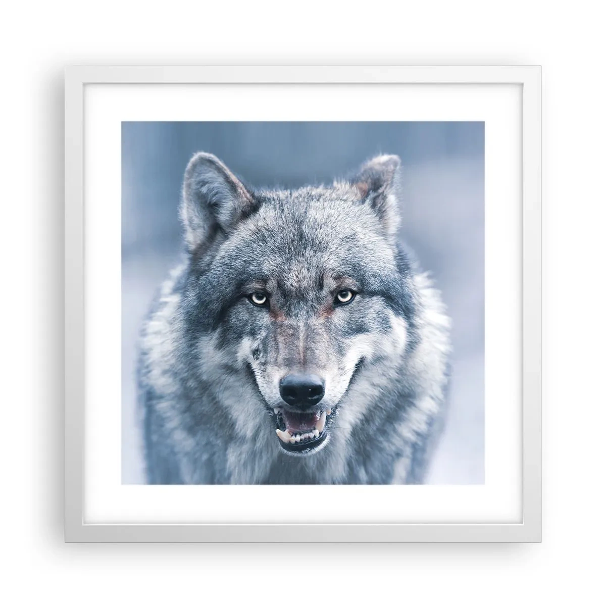 Poster in cornice bianca - Accetti la sfida? - 40x40 cm