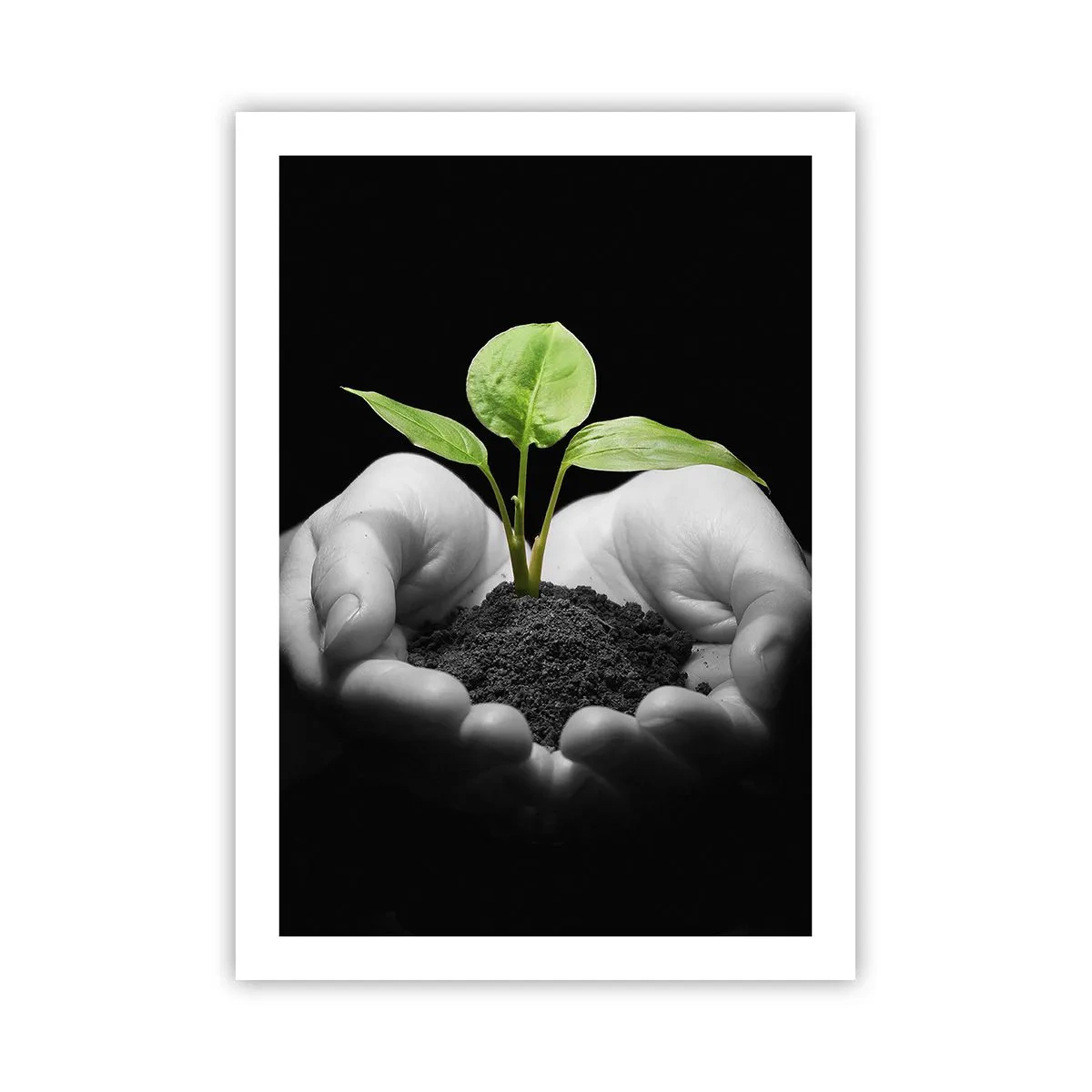 Poster - Una pianta tra le mani che simboleggia la vita e la natura - 50x70cm - Amo la natura, la proteggo - Decorazione murale moderna per soggiorno e camera da letto ARTTOR