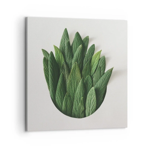 Quadro su tela - Stampe su Tela - Curiosità irrefrenabile - 50x50 cm