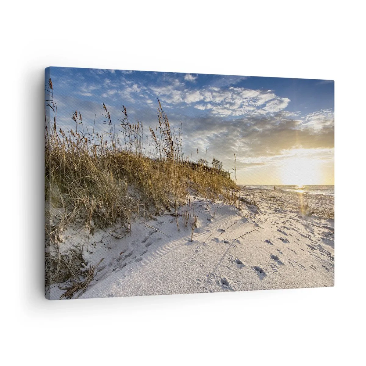 Quadro su tela - Stampe su Tela - Dune con erba e impronte nella sabbia al tramonto - 70x50cm - Invito a passeggiare - Decorazione murale moderna per soggiorno e camera da letto ARTTOR
