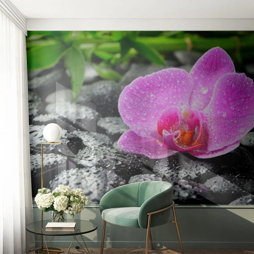 Fotomurali Premium Sand - Orchidea rosa su pietre nere bagnate - 100x70cm - Come un cuore aperto - Decorazione murale moderna per soggiorno e camera da letto ARTTOR