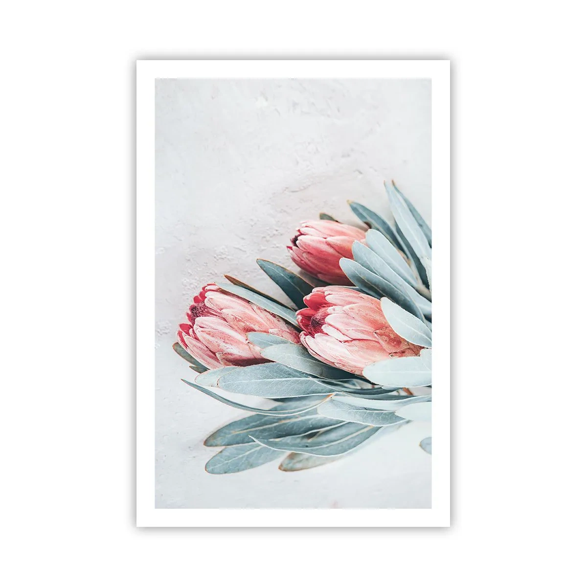 Poster - Imbarazzati per la propria bellezza - 61x91 cm