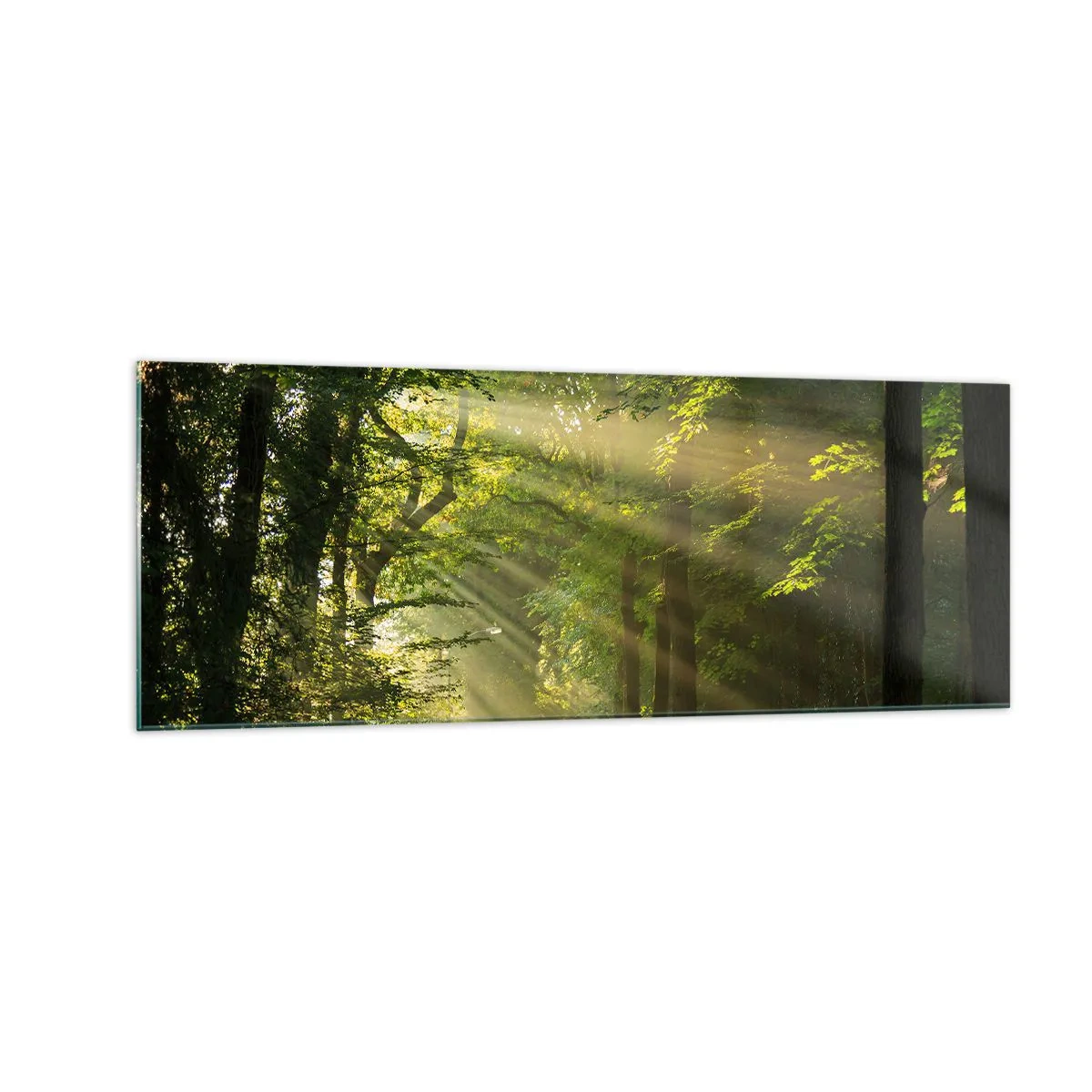 Quadro su vetro - Sentiero nel bosco con raggi di sole che brillano attraverso gli alberi - 140x50cm - Un attimo nel bosco - Decorazione murale moderna per soggiorno e camera da letto ARTTOR