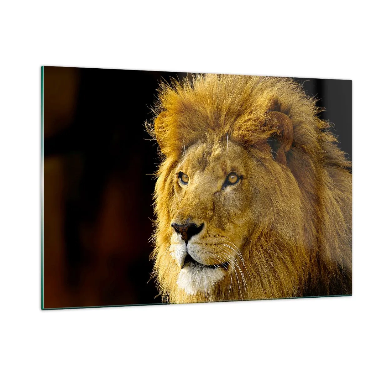 Quadro su vetro - Ritratto di un maestoso leone su uno sfondo scuro - 120x80cm - Ritratto del re - Decorazione murale moderna per soggiorno e camera da letto ARTTOR