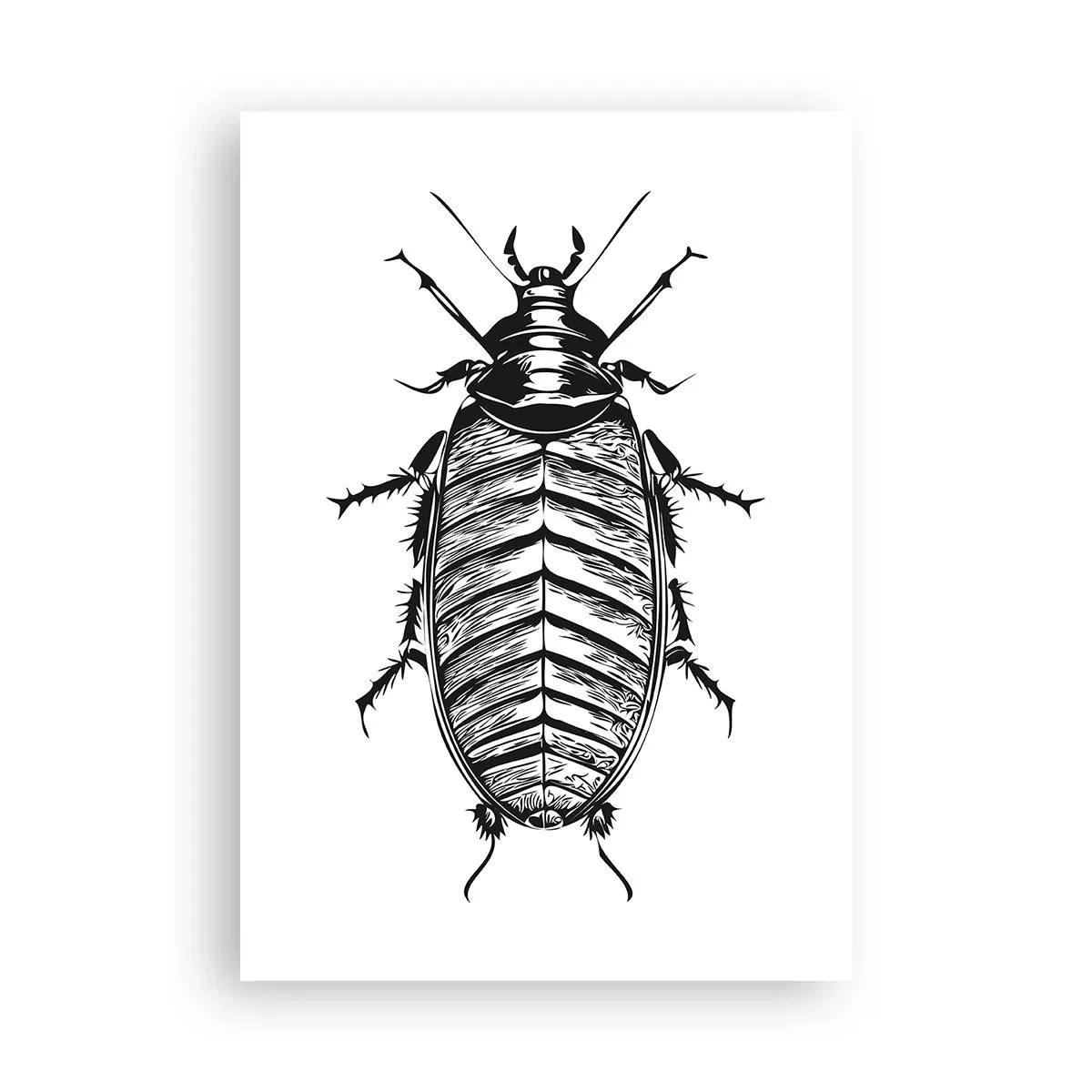 Poster - Che esemplare! - 70x100 cm