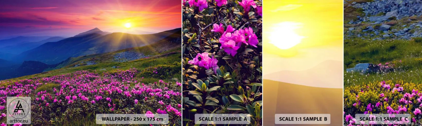 Campione Di Fotomurale Standard Eco - Odore di mugo e profumo di erbe - Paesaggio, Montagne, Tramonto - 100x30 cm