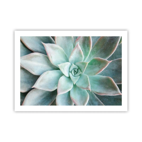 Poster - Il cuore del deserto - 70x50 cm