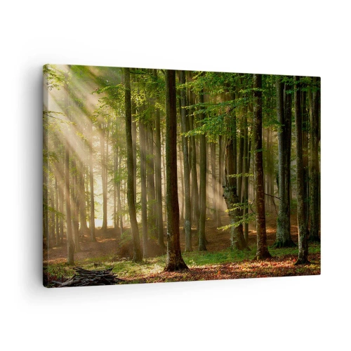 Quadro su tela - Stampe su Tela - Raggi di sole che penetrano attraverso gli alberi nella foresta - 70x50cm - Raggiante in un mattino di primavera - Decorazione murale moderna per soggiorno e camera da letto ARTTOR