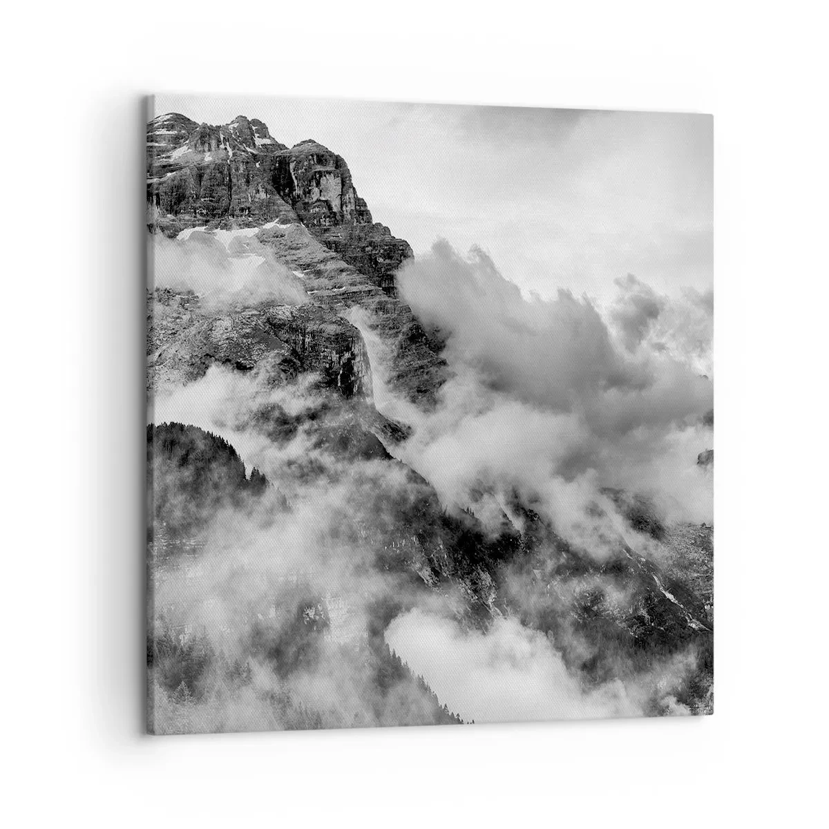 Quadro su tela - Stampe su Tela - Belli e terribili - 50x50 cm