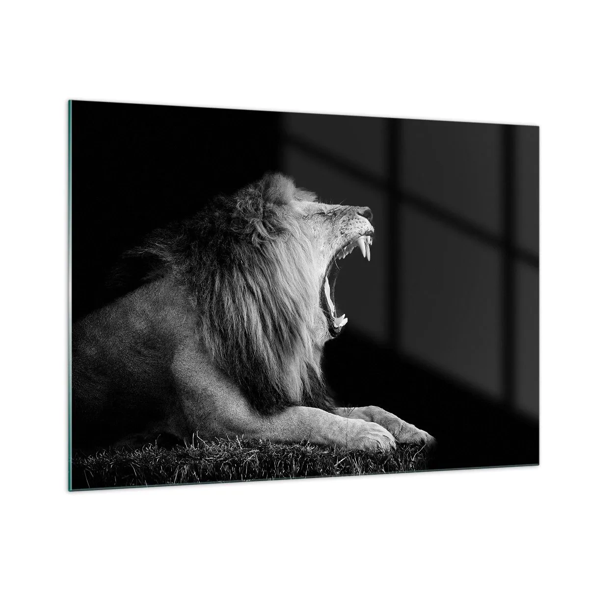 Quadro su vetro - Ritratto in bianco e nero di un leone che ruggisce contro un'ombra - 100x70cm - Senza alcun dubbio - Decorazione murale moderna per soggiorno e camera da letto ARTTOR