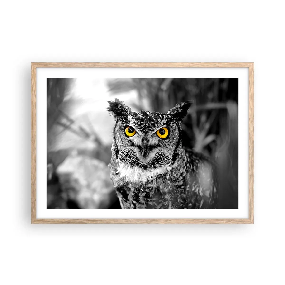 Poster in cornice rovere chiaro - Non si può nascondere niente - 70x50 cm