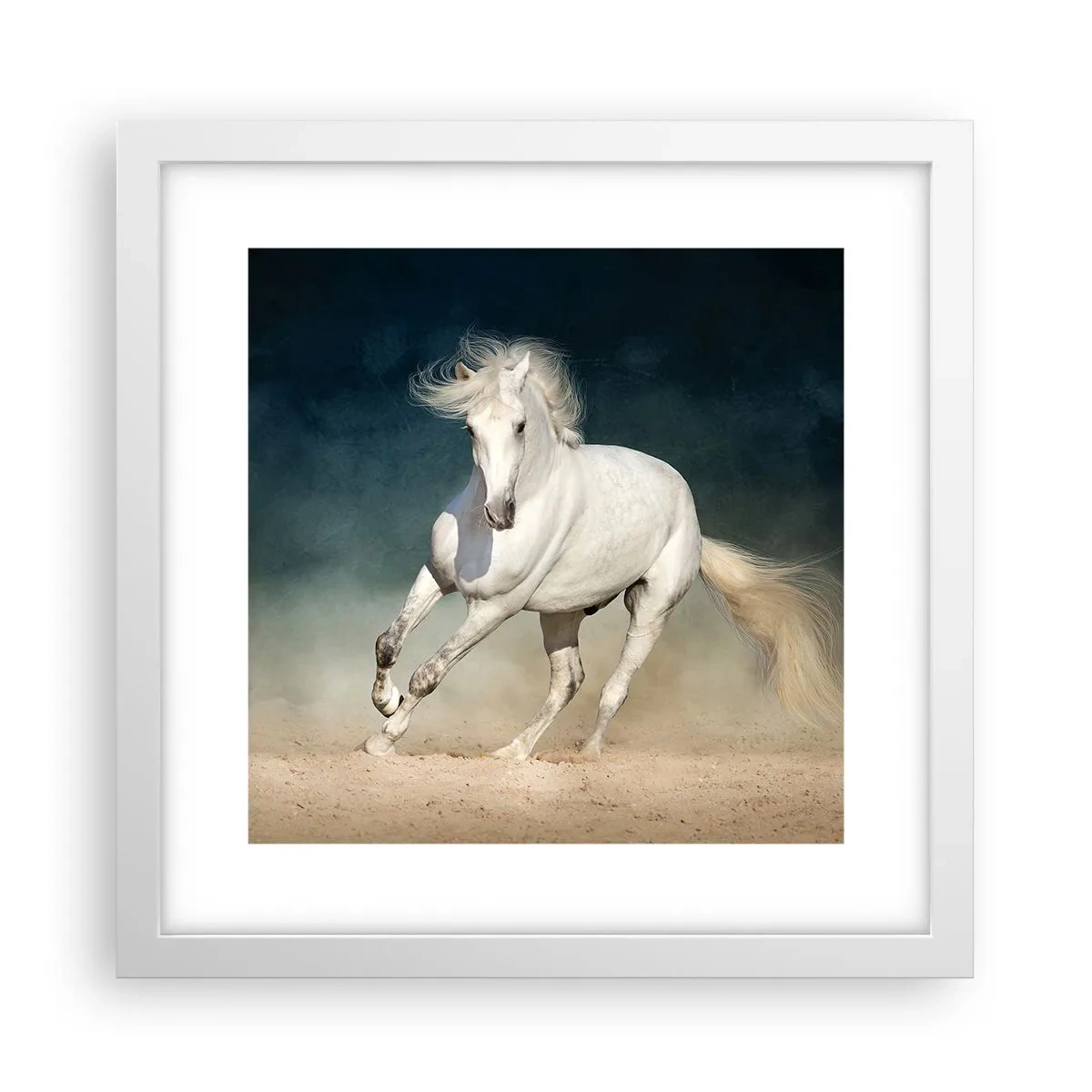 Poster in cornice bianca - Libertà allo stato puro - 30x30 cm