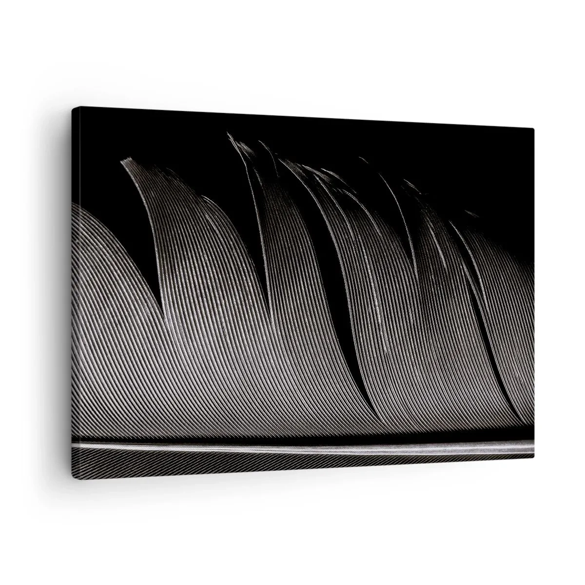 Quadro su tela - Stampe su Tela - Texture di piume bianche e nere in stile minimalista - 70x50cm - Piuma: struttura meravigliosa - Decorazione murale moderna per soggiorno e camera da letto ARTTOR