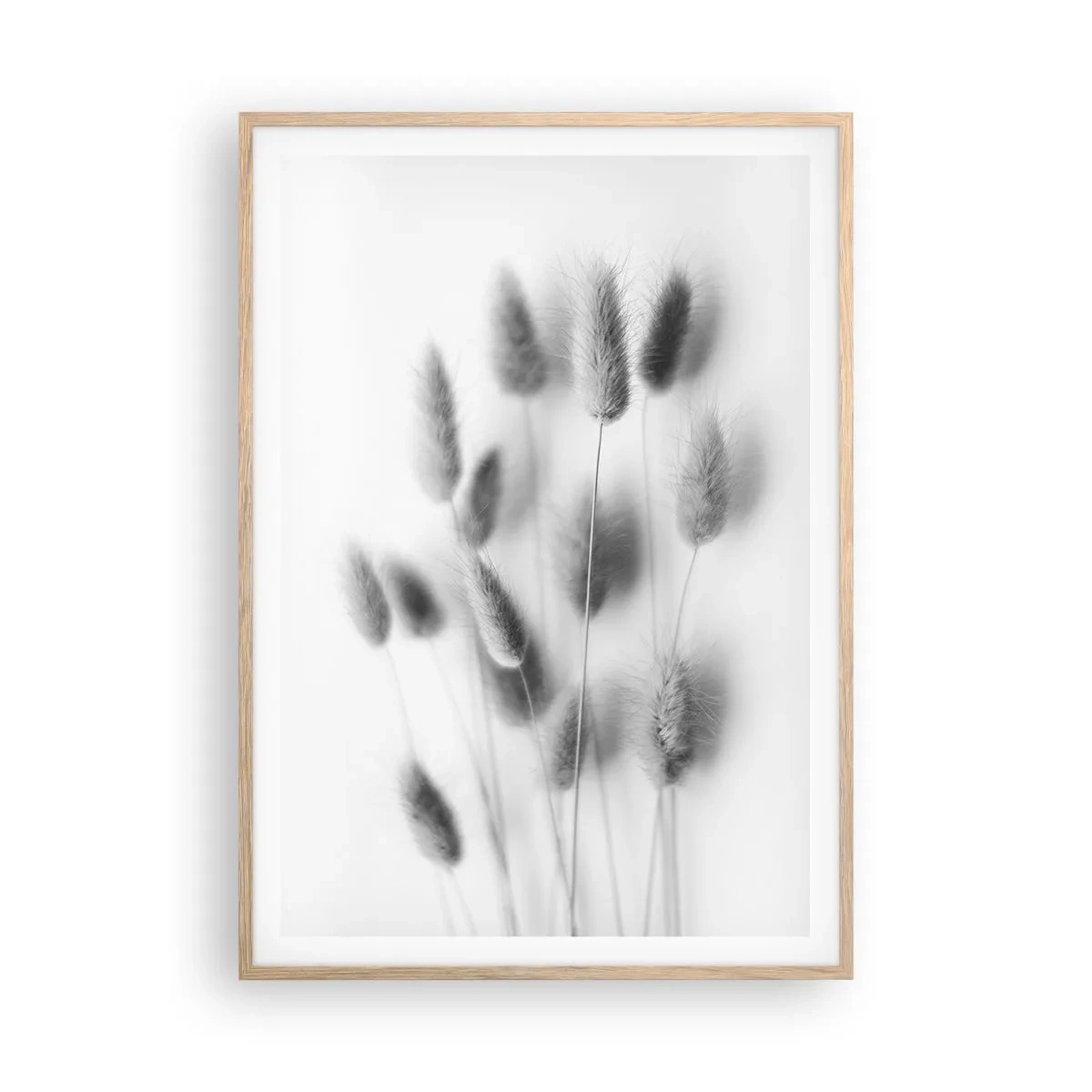 Poster in cornice rovere chiaro - Erba soffice - 70x100 cm