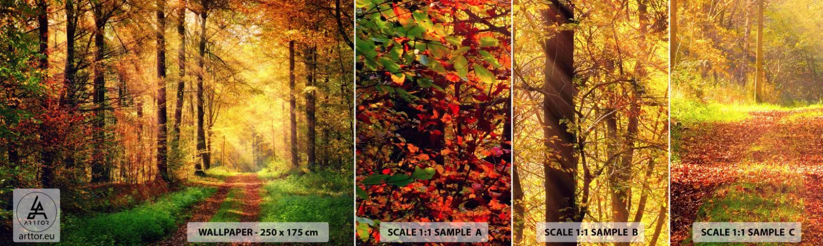 Campione di Fotomurale Adesivo Deluxe Sticker - Il silenzio d'oro del bosco - Paesaggio, foresta, Strada forestale - 100x30 cm