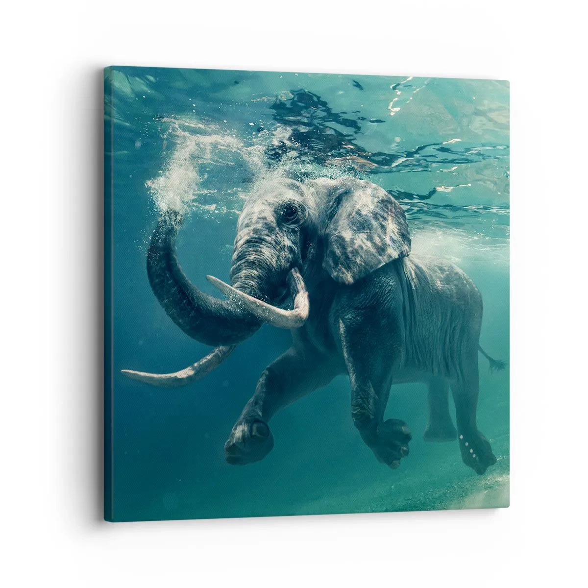 Quadro su tela - Stampe su Tela - Tutti amano nuotare - 30x30 cm