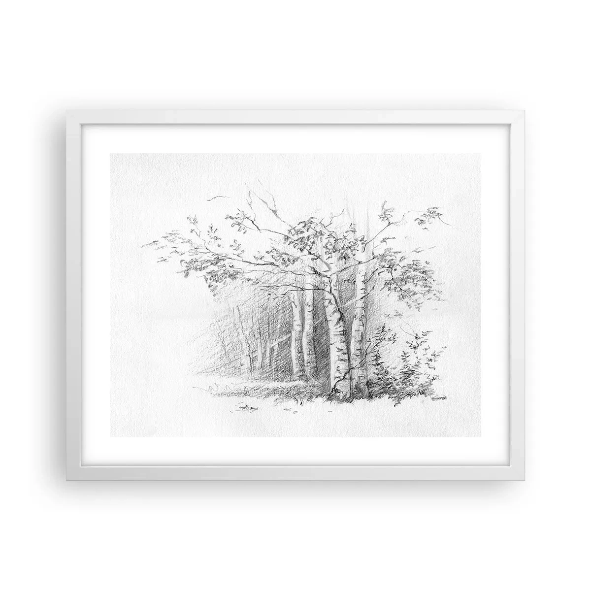 Poster in cornice bianca - La luce della foresta di betulle - 50x40 cm