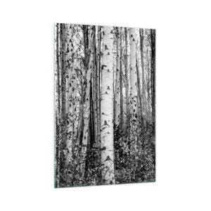 Quadro su vetro - Betulle bianche e nere nella foresta - 70x100cm - Colonnato di betulle - Decorazione murale moderna per soggiorno e camera da letto ARTTOR