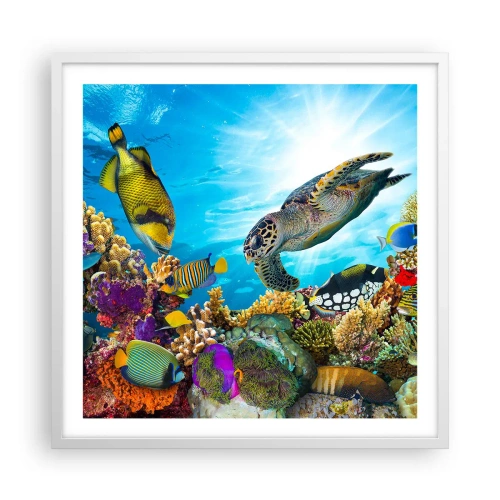 Poster in cornice bianca - Passeggiata corallina - 60x60 cm