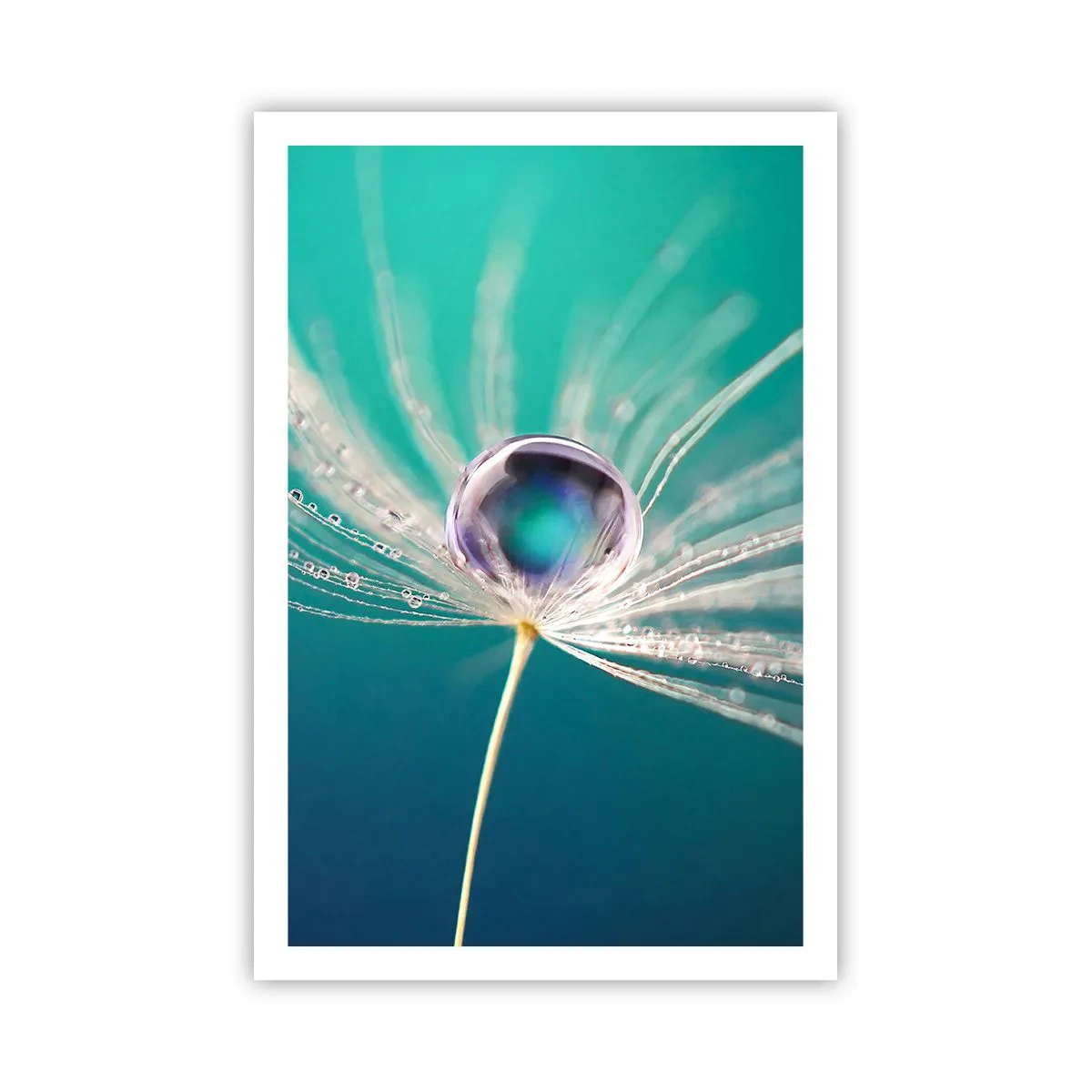 Poster - Attimo mistico - 61x91 cm