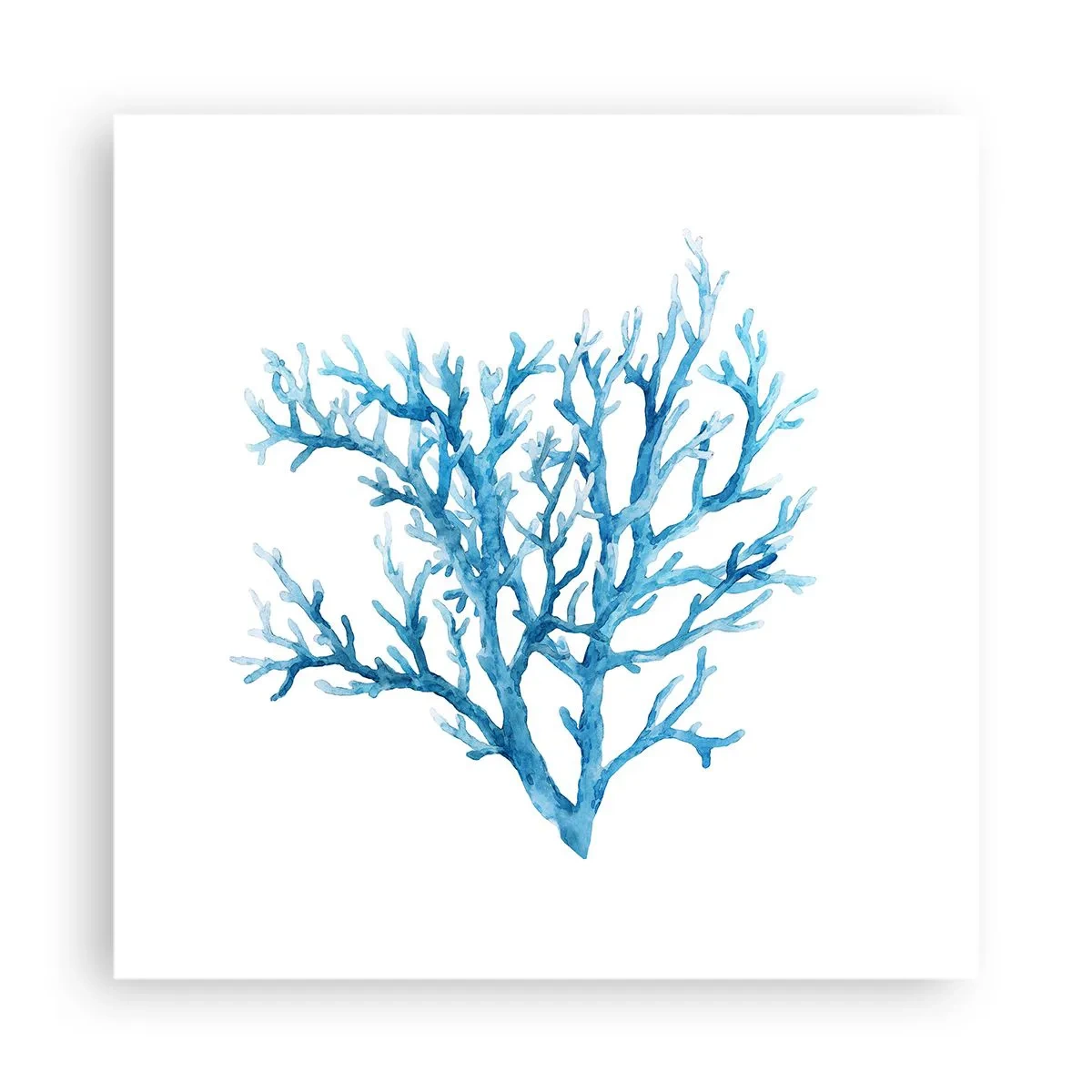 Poster - Filigrana marina - 40x40 cm