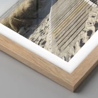 Rovere chiaro