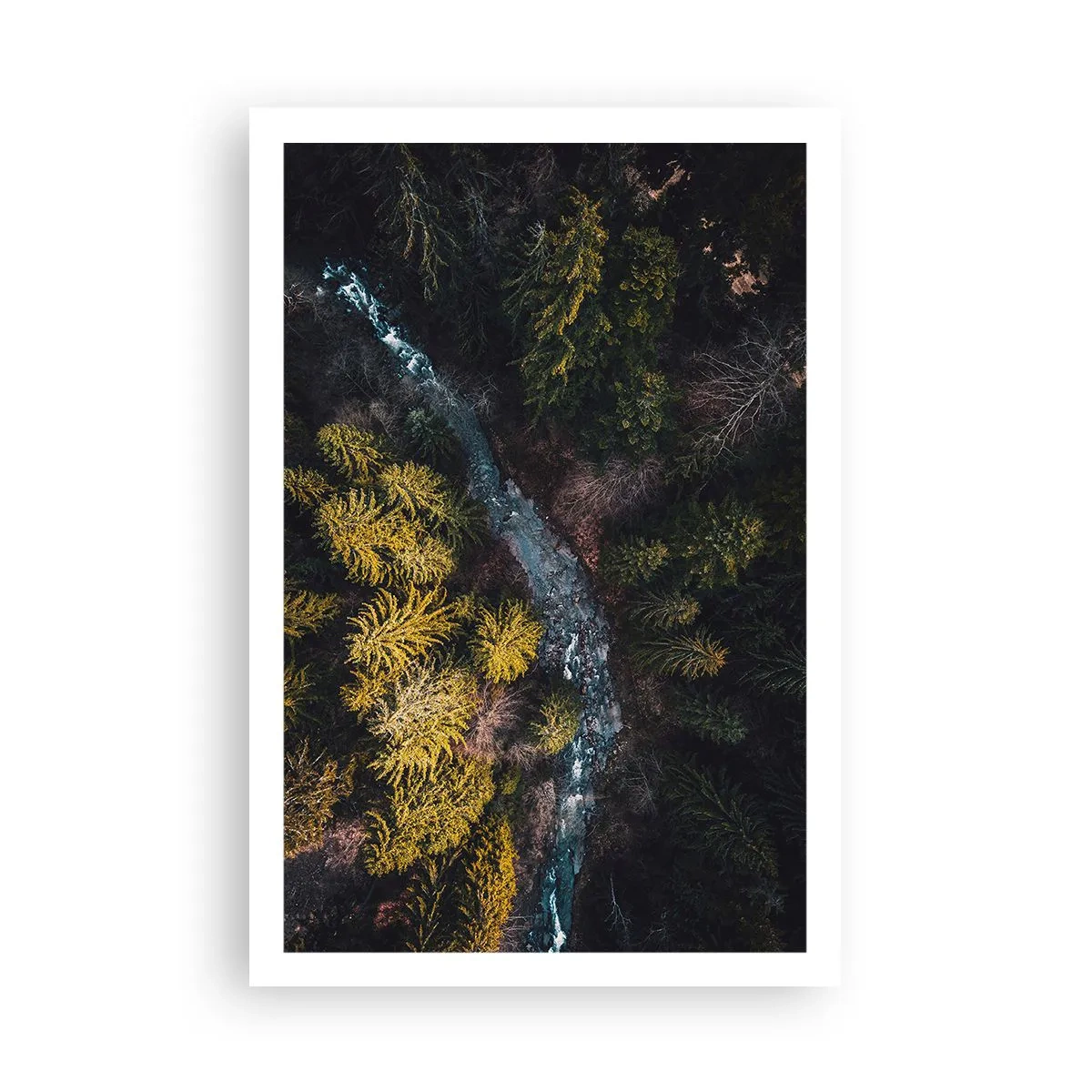 Poster - Sempre più veloce - 61x91 cm