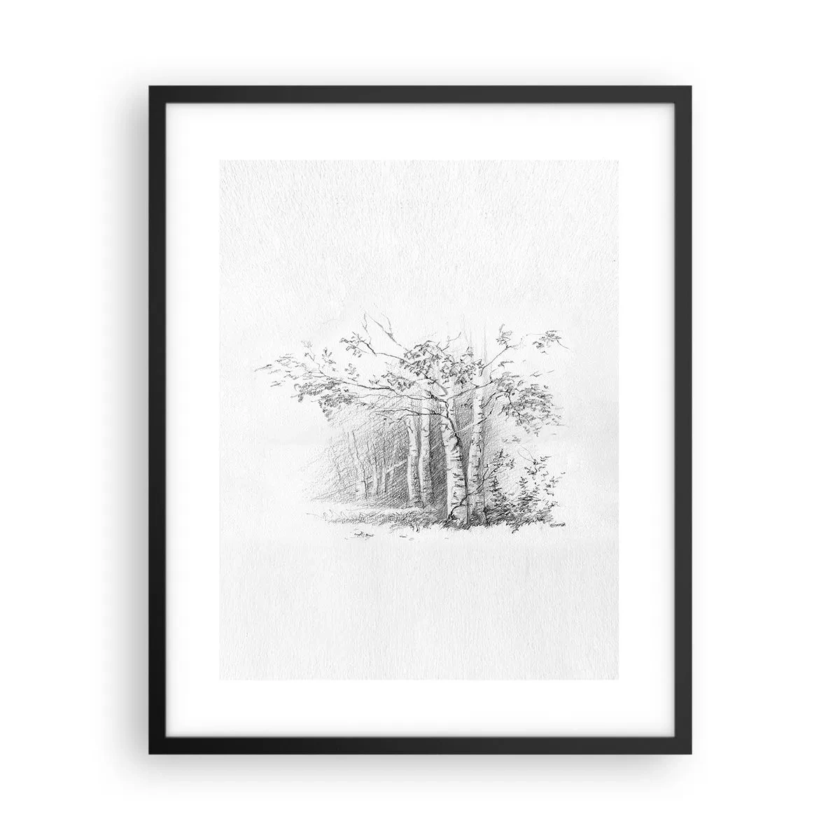 Poster in cornice nera - La luce della foresta di betulle - 40x50 cm