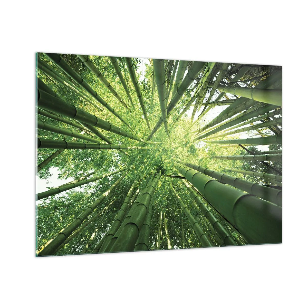 Quadro su vetro - Vista prospettica dall'alto della foresta di bambù - 100x70cm - Nella foresta di bambù - Decorazione murale moderna per soggiorno e camera da letto ARTTOR