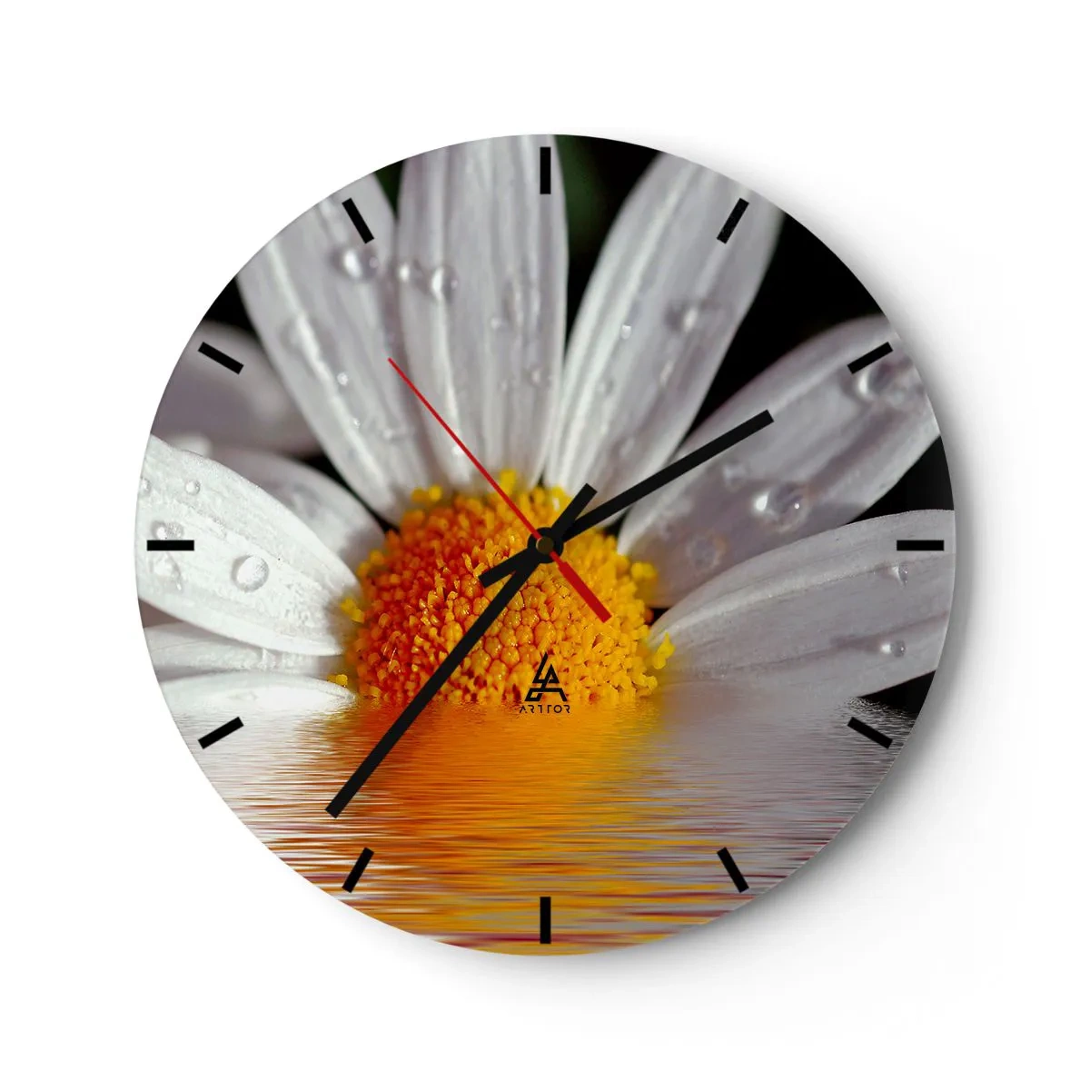 Orologio da parete - Orologio in Vetro - Macro di una margherita con gocce d'acqua sui petali - 30x30cm - L'alba della margherita - Decorazione murale moderna per soggiorno, cucina e camera da letto ARTTOR