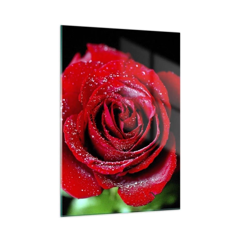 Quadro su vetro - Una rosa rossa ricoperta di gocce di rugiada su uno sfondo scuro - 50x70cm - Ecco l'amore - Decorazione murale moderna per soggiorno e camera da letto ARTTOR