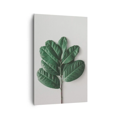 Quadro su tela - Stampe su Tela - Un rametto di foglie verdi su uno sfondo chiaro - 80x120cm - Il disegno della natura stessa - Decorazione murale moderna per soggiorno e camera da letto ARTTOR
