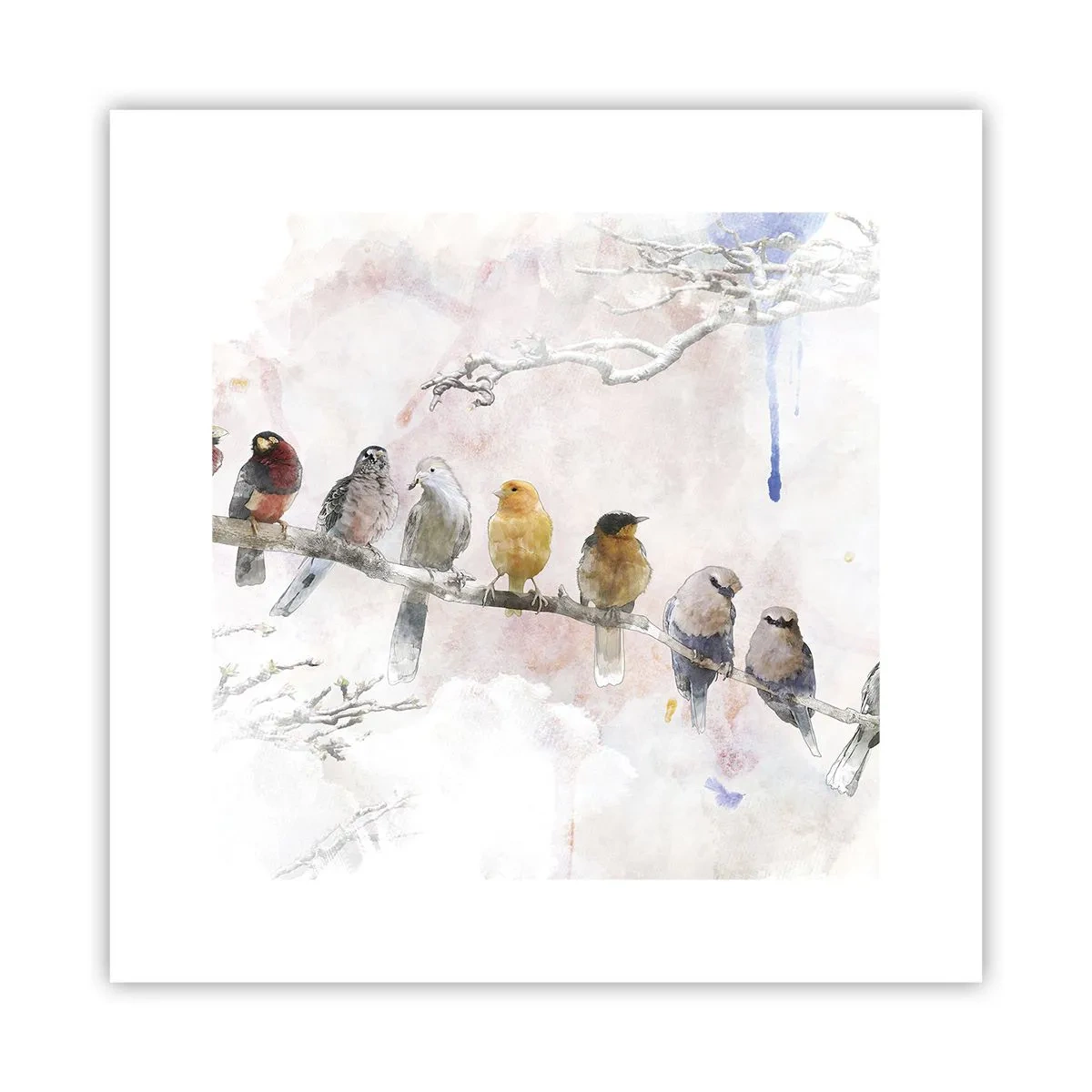 Poster - Incontro alato - 30x30 cm