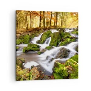 Quadro su tela - Stampe su Tela - Rapido nel bosco autunnale - 50x50 cm