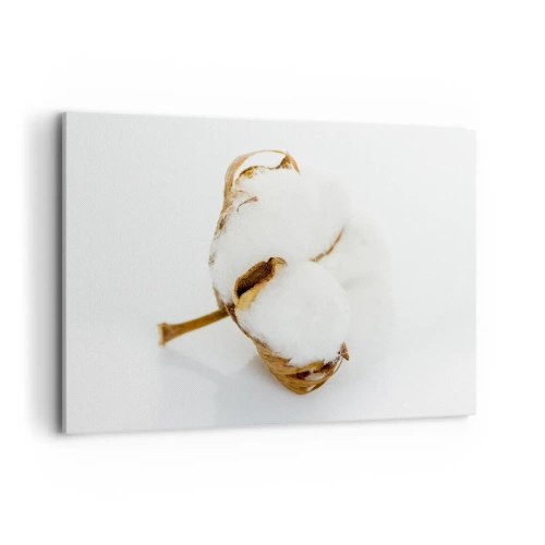 Quadro su tela - Stampe su Tela - Un ramo di cotone su uno sfondo chiaro in un approccio minimalista - 100x70cm - Naturalmente morbido - Decorazione murale moderna per soggiorno e camera da letto ARTTOR