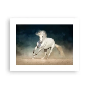 Poster - Libertà allo stato puro - 40x30 cm