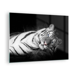 Quadro su vetro - Una tigre bianca con gli occhi azzurri in un ambiente bianco e nero - 70x50cm - Selvaggità e pace - Decorazione murale moderna per soggiorno e camera da letto ARTTOR