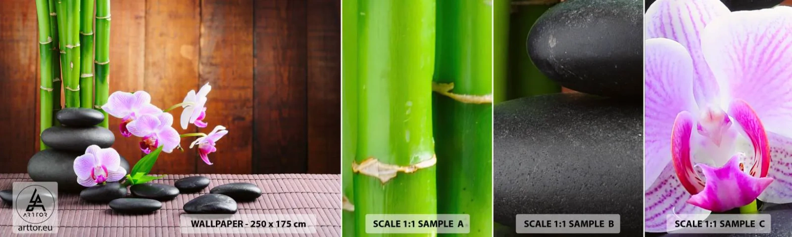 Campione Di Fotomurale Standard Eco - Scopri i piaceri dell'oriente - Fiori, Orchidea, Orchidea - 100x30 cm