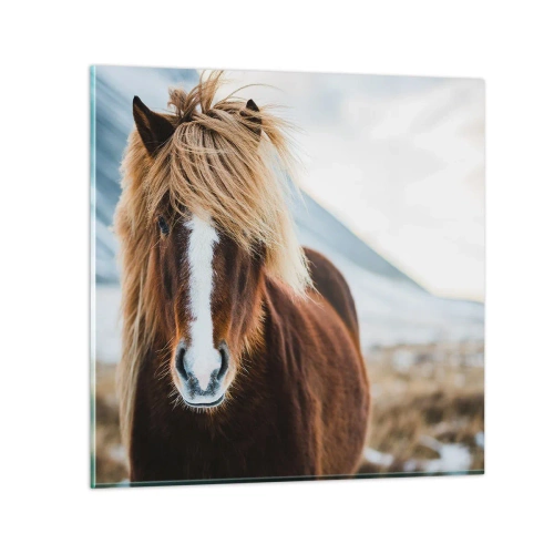 Quadro su vetro - Senti la libertà? - 70x70 cm