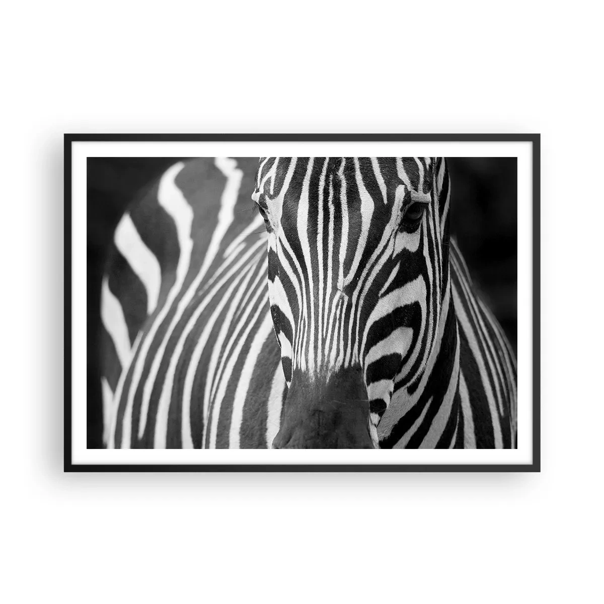 Poster in cornice nera - Primo piano in bianco e nero di una zebra con le sue strisce distintive. - 100x70cm - Il mondo è in bianco e nero - Decorazione murale moderna per soggiorno e camera da letto ARTTOR