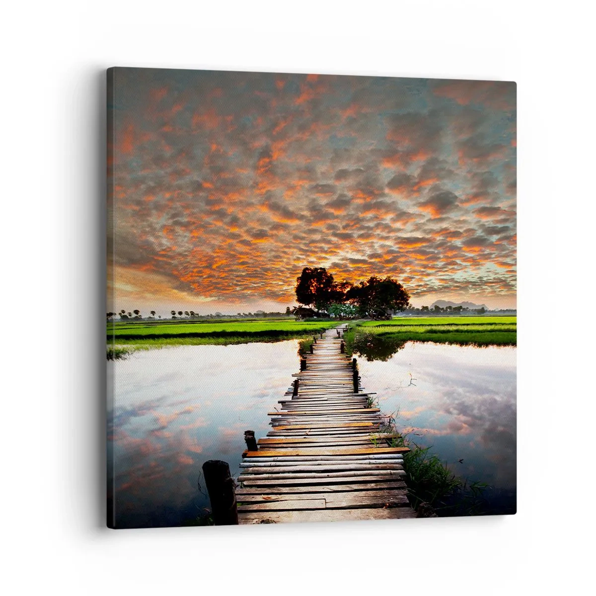 Quadro su tela - Stampe su Tela - Allarga le braccia, respira  - 40x40 cm